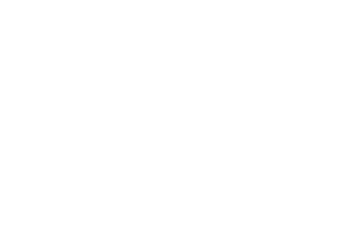VINACONSULTING